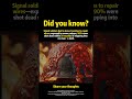 WWII Napalm Bombs That Burned Victims Alive#history #facts
