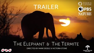 The Elephant and the Termite trailer