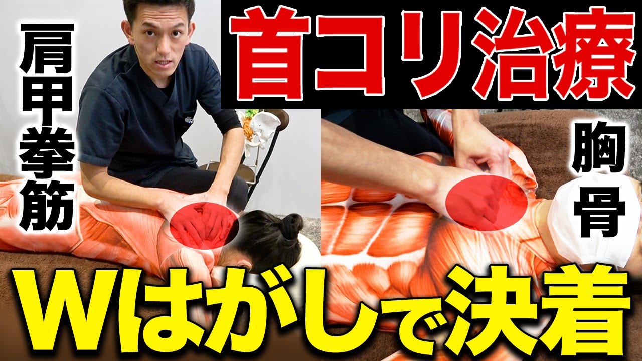 【※全治療家必見】首コリのメカニズムと肩甲挙筋と胸骨を狙ったW剥がしテクニック！