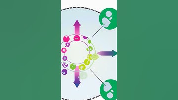 What are the different communication theories?