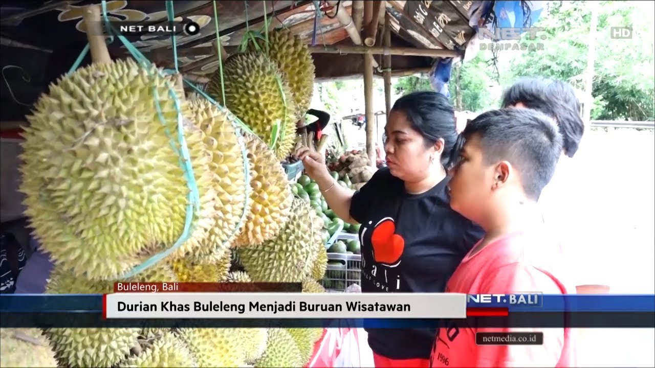 NET. BALI - DURIAN KHAS BULELENG MENJADI BURUAN WISATAWAN 