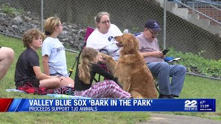 Valley Blue Sox fans brought their four-legged friends out to Mackenzie stadium for 'Bark in the Par