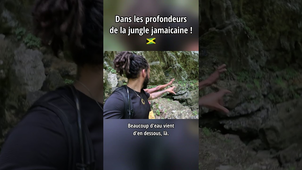 Dans la jungle en Jamaique 🇯🇲