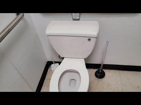 Vídeo: Eljer é um bom banheiro?