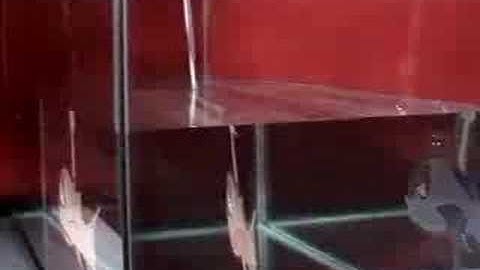 Investigating Refraction