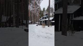 достопримечательности Урала Ганина яма