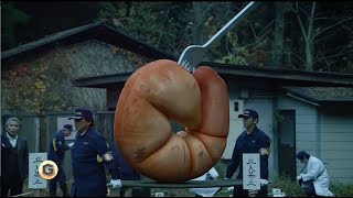 名探偵・金田一耕助シリーズ　悪霊島