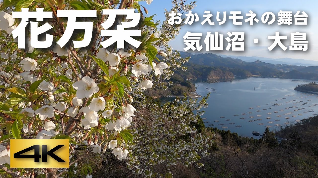 花万朶 おかえりモネの舞台 気仙沼 大島 Youtube