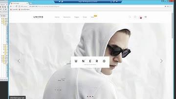 Sage 100cloud ERP Consultant:  Integrated Magento ecommerce, WMS and Payments