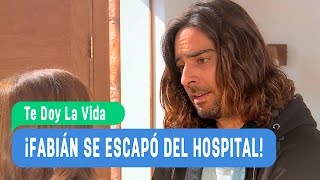 Isidora y Fabián - ¡Fabián se escapó del hospital! - Te doy  la vida / Capitulo 72