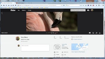 Insert Image into Forum Post from Flickr