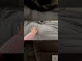 Everything I love about this weighted blanket. Check out my review video!