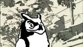 Cruis_n_Owl.mp4