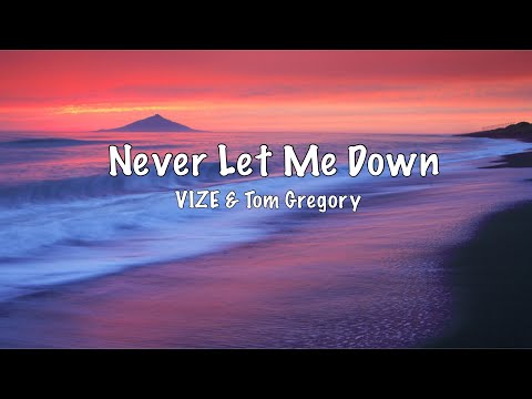 Never Let Me Down Lyrics VIZE & Tom Gregory