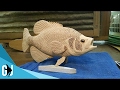 #440: HUGE Fish Shop Fine, Wooden Fish and Fishy World - Aquarium News #440: HUGE Fish Shop Fine, Wooden Fish and Fishy World - Aquarium News