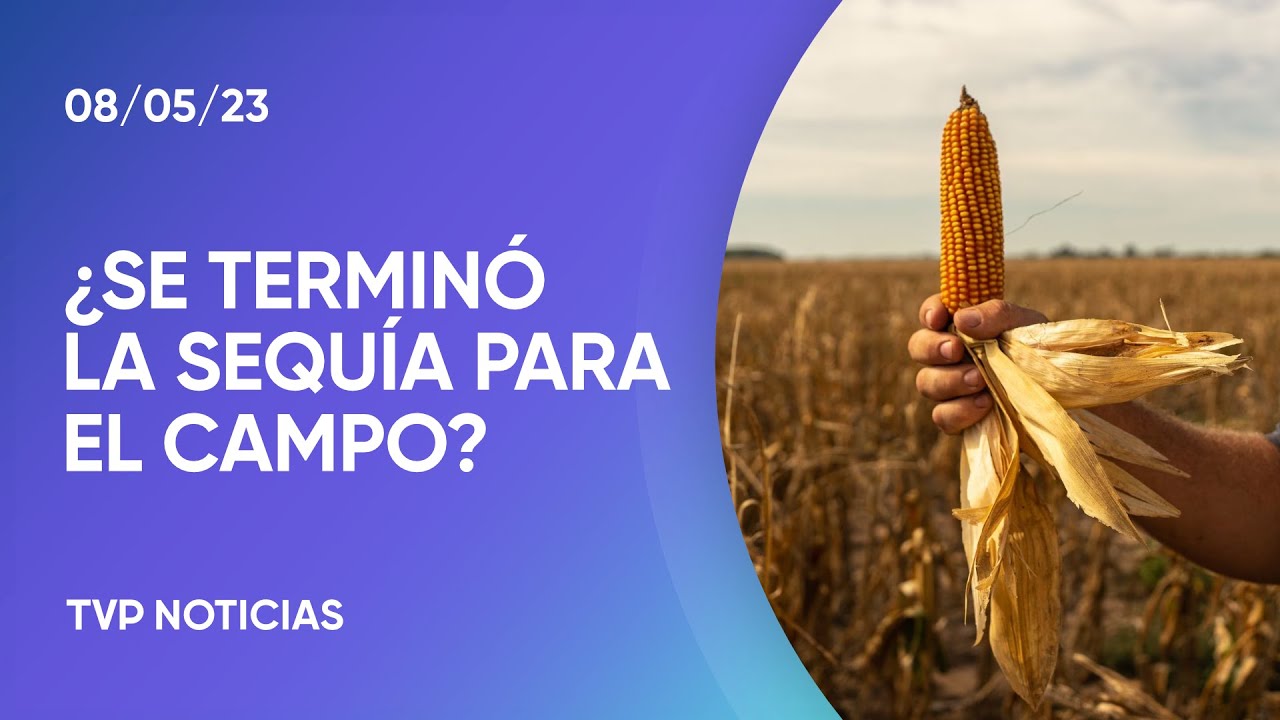 Las proyecciones de la siembra del trigo: ¿Se terminó la sequía? - YouTube