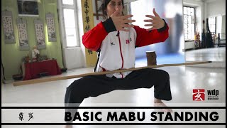 BASICS - Ma Bu Standing Key Points