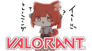 【 VALORANT】定点てえてえ【ラトナ・プティ/にじさんじ】