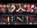 Siente remix  j king  maximan ft varios artistas original reggaeton 2012 crmusik