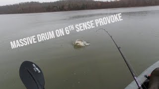 MASSIVE DRUM ON 6TH SENSE JERKBAIT ON KENTUCKY LAKE
