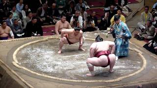Sumo wrestling Kasugao vs Yamamotoyama screenshot 4