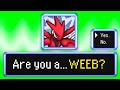 Randomized pokmon mystery dungeon is interesting