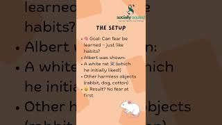 Little Albert Experiment #psychology #psycholgyfacts #revision #conditioning #fypyoutube #fear