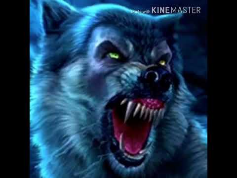 Werewolf Roar 🐺