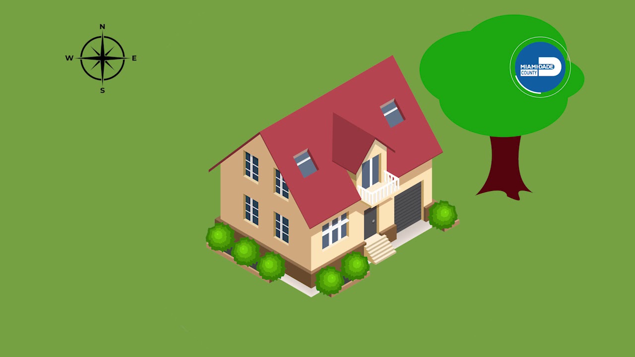 Adopt-A-Tree: Where To Place Your New Tree