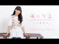 【歌ってみた】つじあやの / 風になる covered by Sakura 【猫の恩返し】【主題歌】