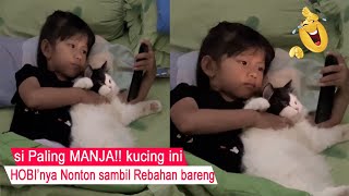 Sure LAUGHTER/FUNNY reaction of Sleepy cat being FORCED to listen STORY/funny cat compilation