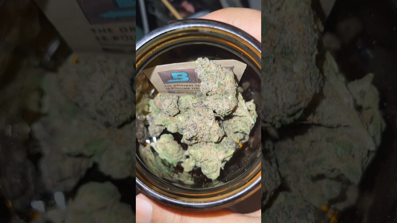 Pedanios 27/1 FRG-CA Farm gas Review in der Beschreibung 