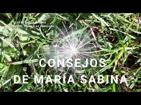 CONSEJOS DE MARIA