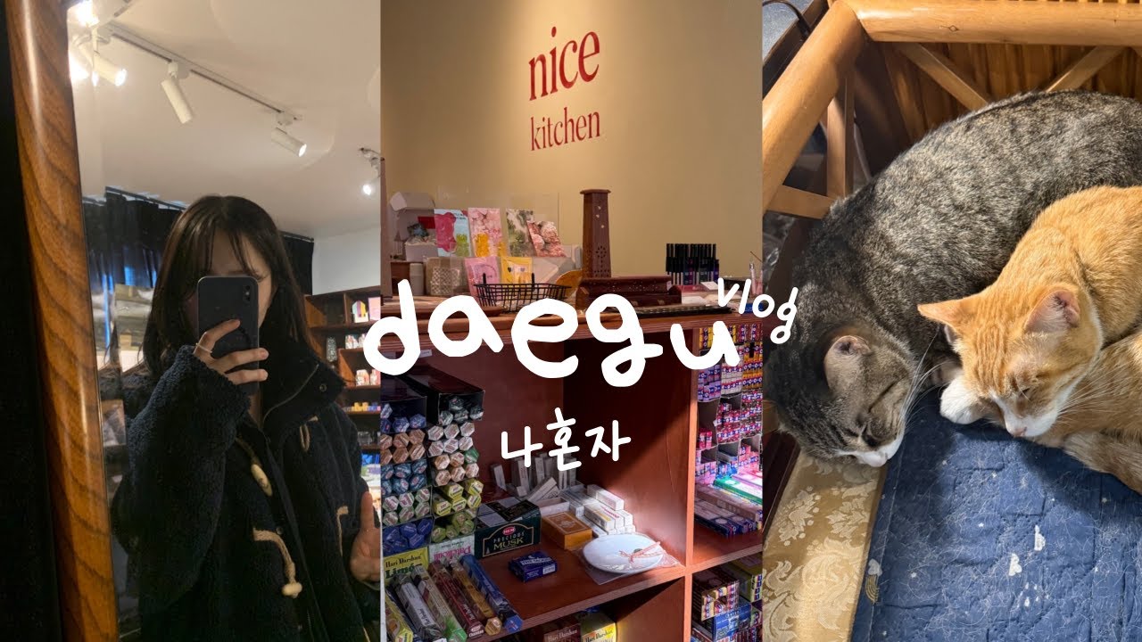 나 혼자 대구여행 vlog💙 | 페이퍼보이스튜디오, 사사로운, 반월카페, 달콤한 메론빵으로 시작해 해장으로 끝내기🍚