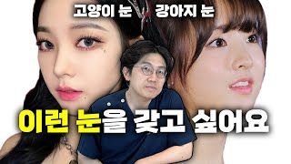 (온라인 성형 상담)고양이상,강아지상 내 눈을 이렇게 바꿀 수 있을까? - 성형 상담을 원하시는 분들은 메일로 지원해 주세요!