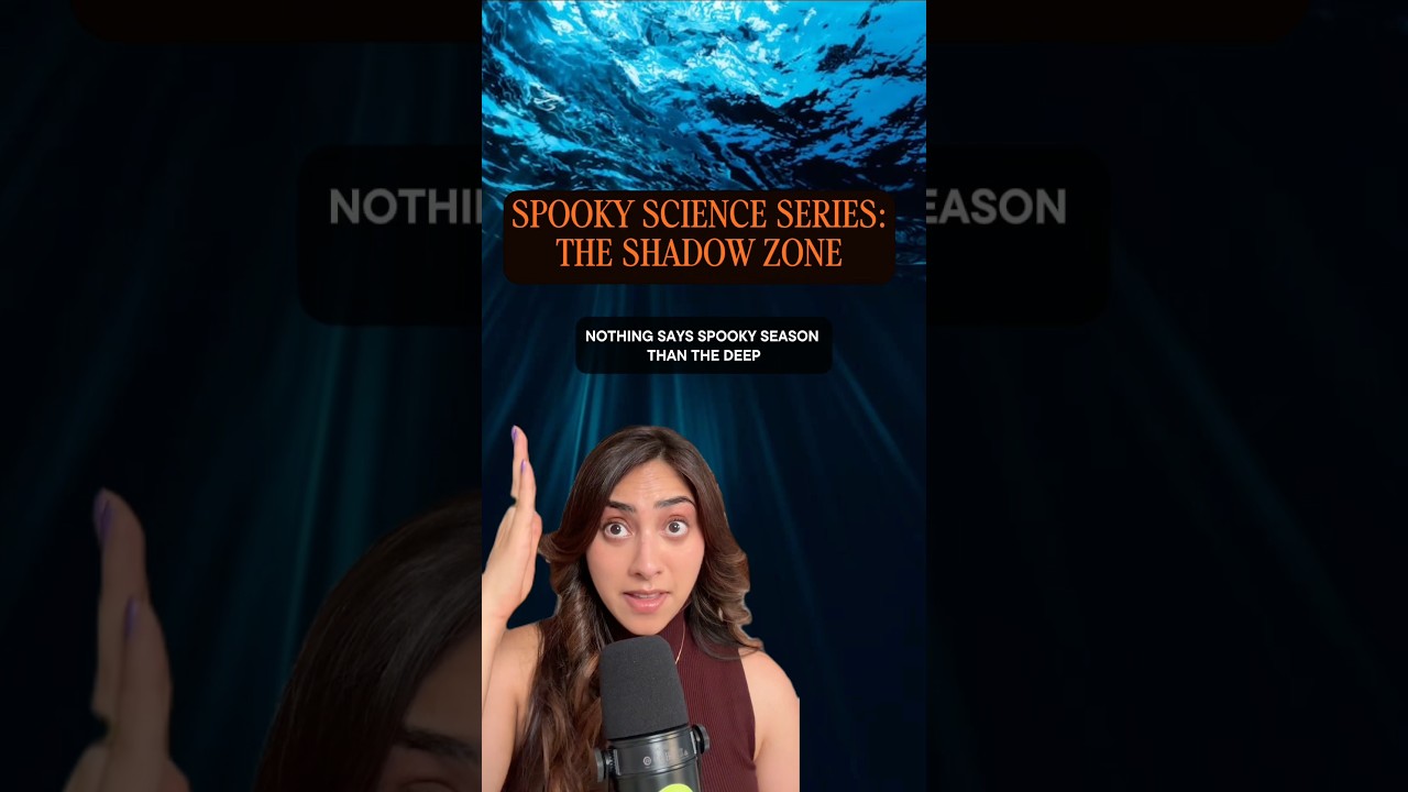 The Ocean’s Shadow Zone