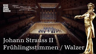 Johann Strauss II: Voices of Spring / Waltz op. 410 | #NYC2024 | #NewYearsConcert | WJSO_at ♪♫