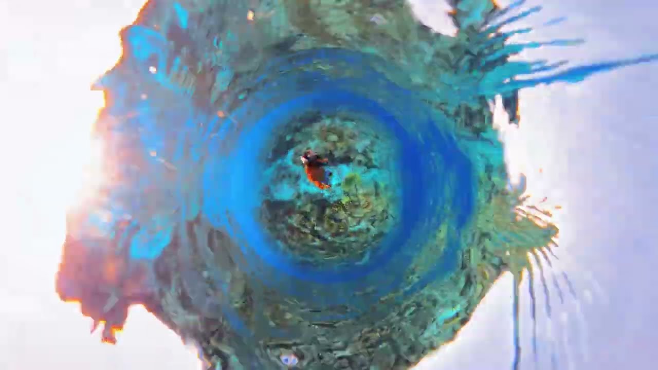 Zamami Island, Okinawa 🇯🇵 | Crystal Clear Waters, Paradise Beaches & Easy Island Access