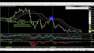 How To Strategy Scalping Chimp Trading System M5 - Best Scalping Forex
