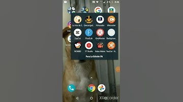 Cuál es la mejor app para editar videos?