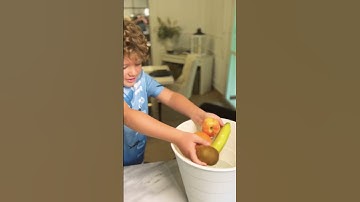 SINK or FLOAT ?? #sinkorfloat #experiment #scienceforkids