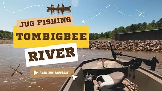 Catching Cats on the Tombigbee | TimberHook Juglines In Action!