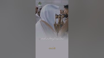 ﴿قالَ لا عاصِمَ اليَومَ مِن أَمرِ اللَّهِ إِلّا مَن رَحِمَ...﴾ مقتطف من سورة هود للشيخ ماهر المعيقلي