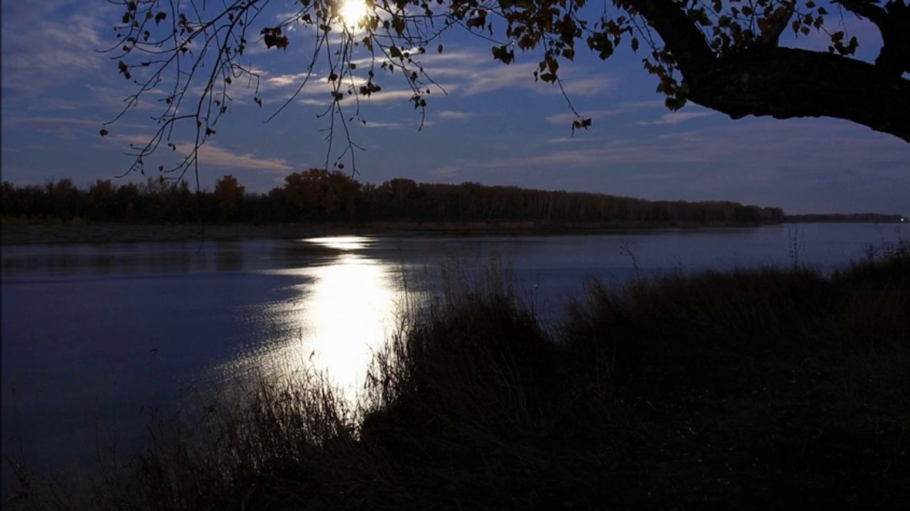 А.Фет. Стихотворение "Шепот, робкое дыханье..." - YouTube