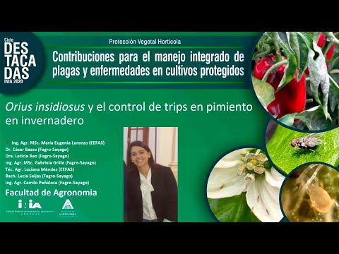 Vídeo: Protecció Vegetal Per Mètodes Biològics. Continuació