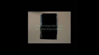 P1010636-torn-picture.mp4