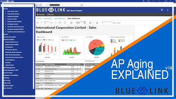 AP Aging EXPLAINED | Blue Link ERP