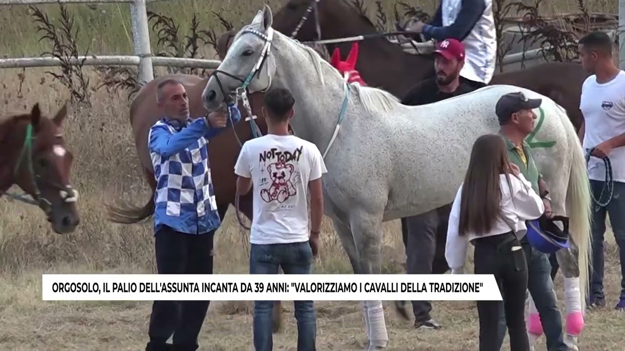 ORGOSOLO, IL PALIO DELL'ASSUNTA INCANTA DA 39 ANNI: ‘’VALORIZZIAMO I CAVALLI DELLA TRADIZIONE’’