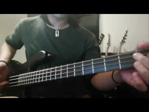 [BASS] Red Hot Chili Peppers - Higher Ground