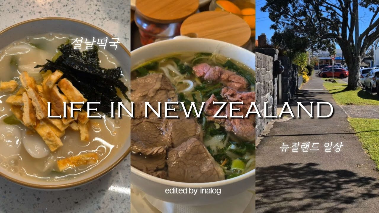 vlog. 소소하게 먹고 사는 요즘 일상 #vlog#뉴질랜드